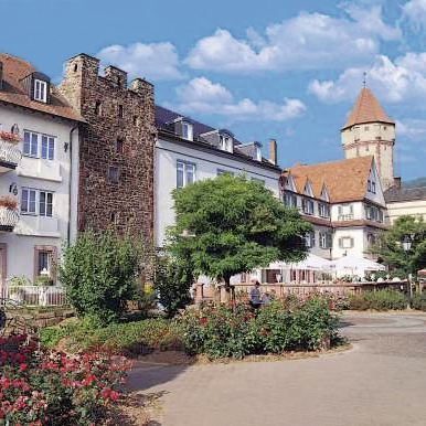 Hotel Schwan
